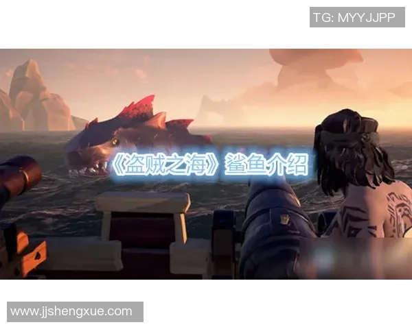 冻结好运一击突破开启全新人生旅程的奇妙冒险之旅